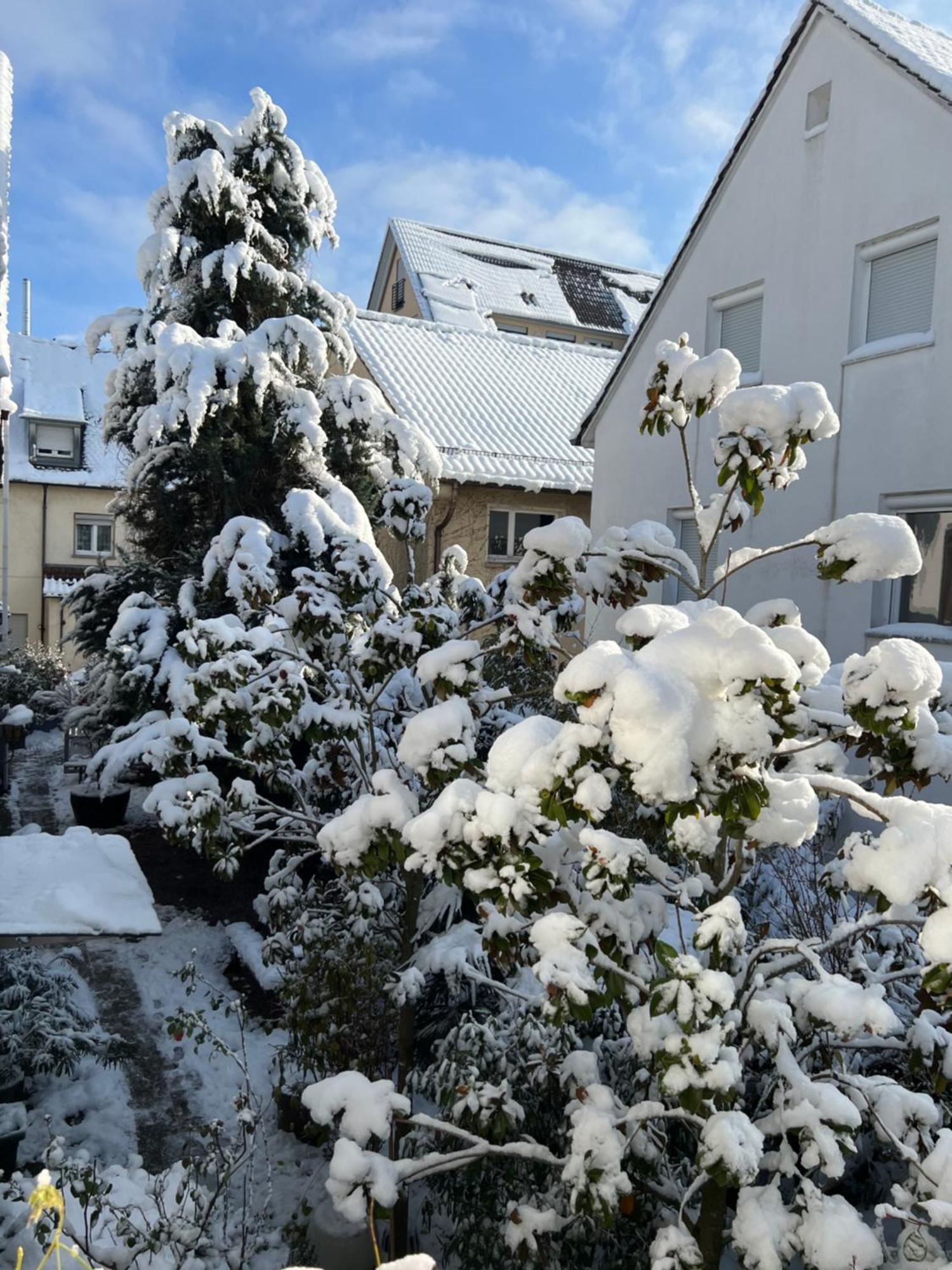 Haus Pia Executive Apartments Friedrichshafen Kültér fotó